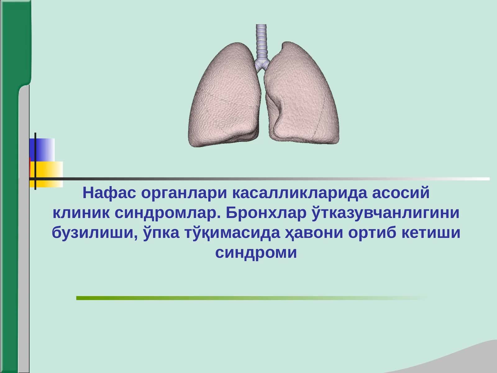 Нафас системаси касалликларидаги асосий клиник синдромлар