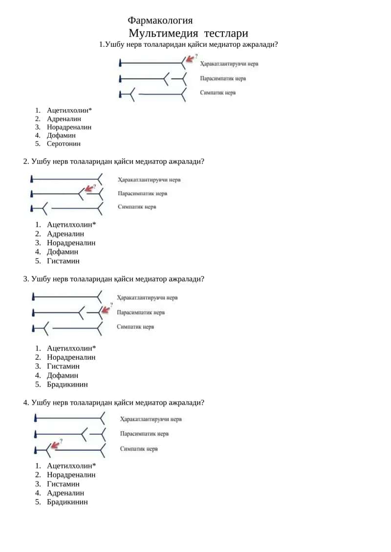 Мультимедия тестлари