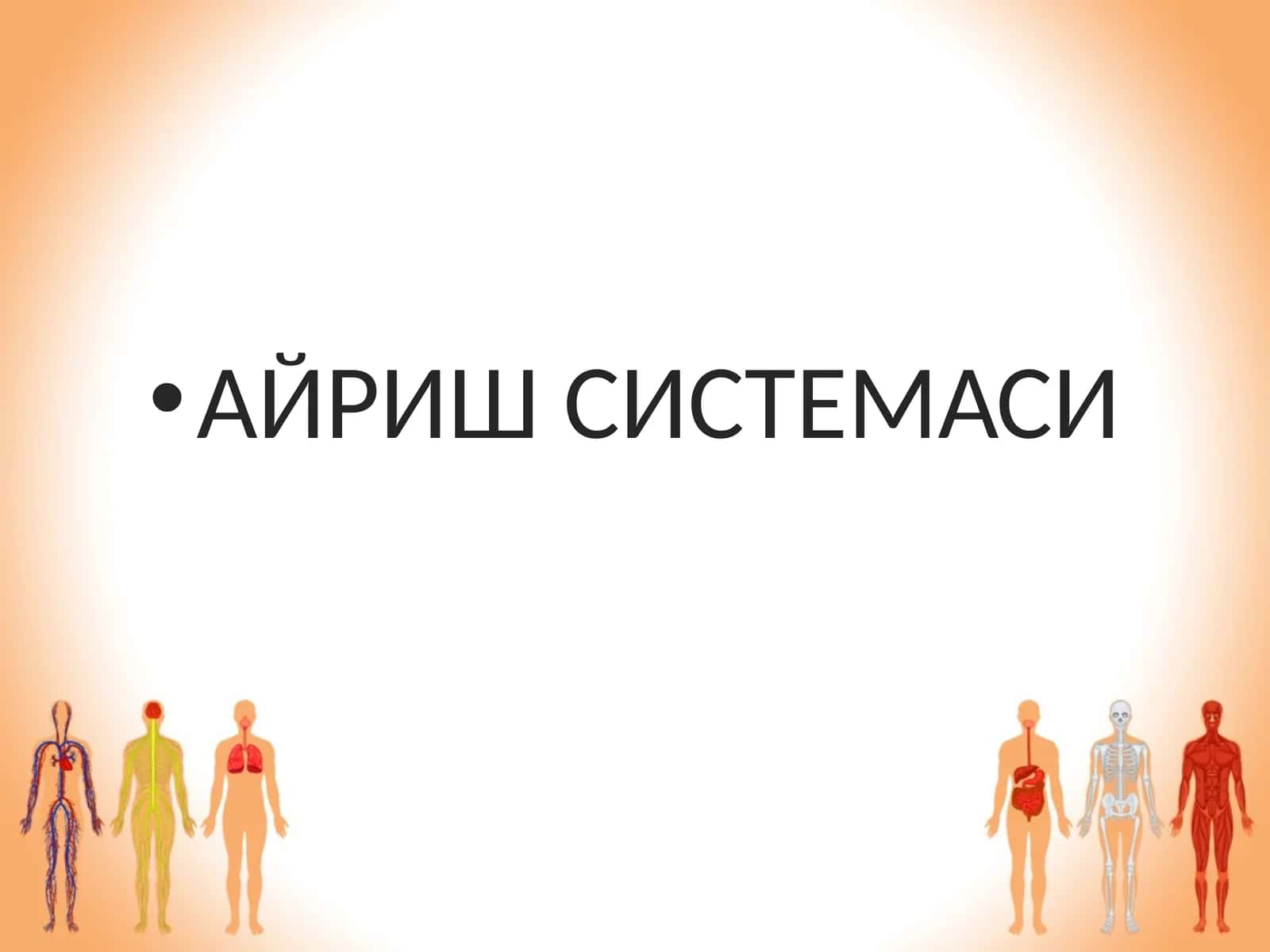 АЙРИШ СИСТЕМАСИ