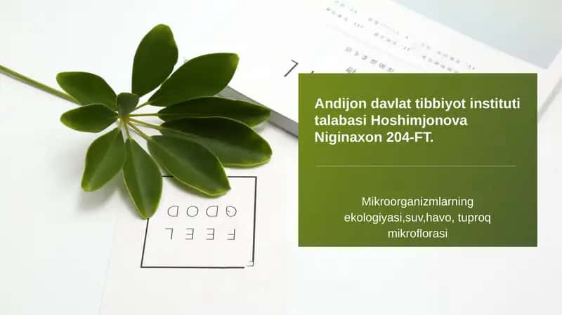 Mikroorganizmlarning ekologiyasi