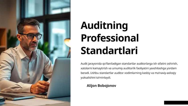 Auditning Professional Standartlari