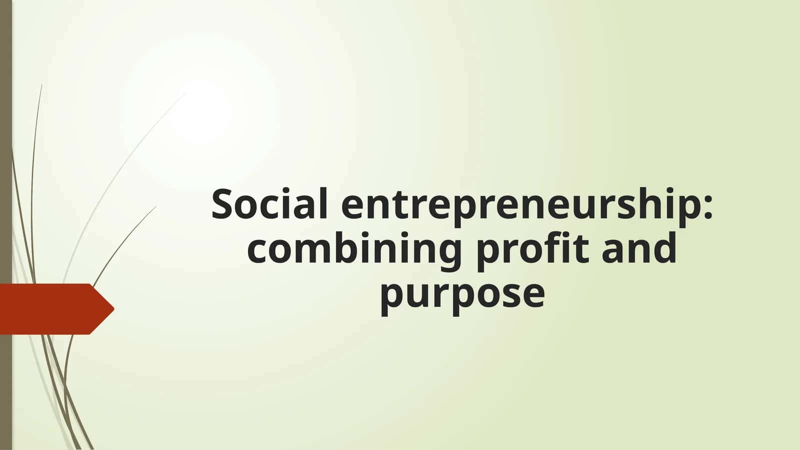 Social entrepreneurship combining profit and purpose