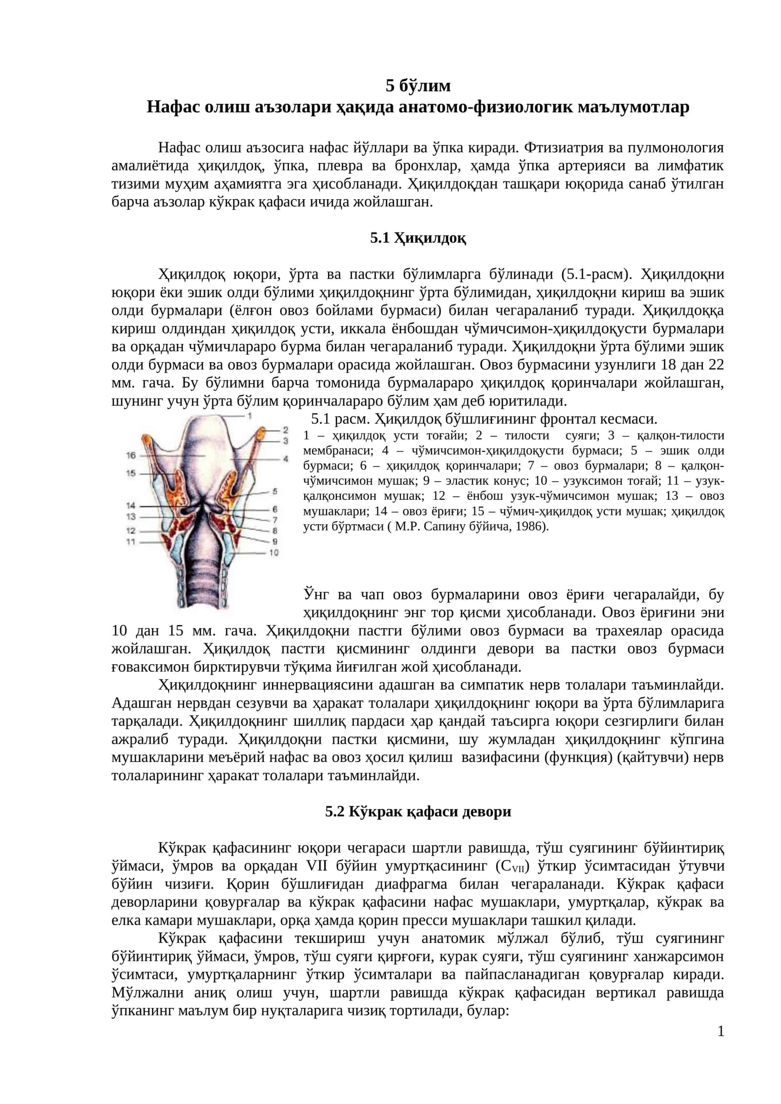 Нафас олиш аъзолари ҳақида анатомо-физиологик маълумотлар