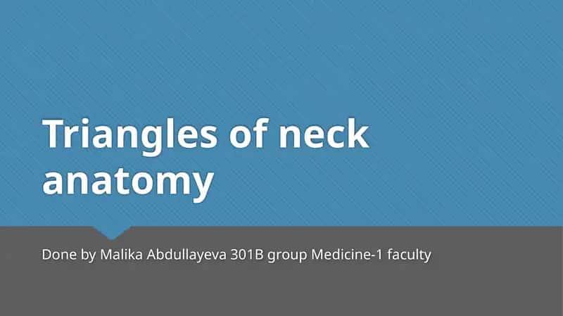 Triangles of neck anatomy