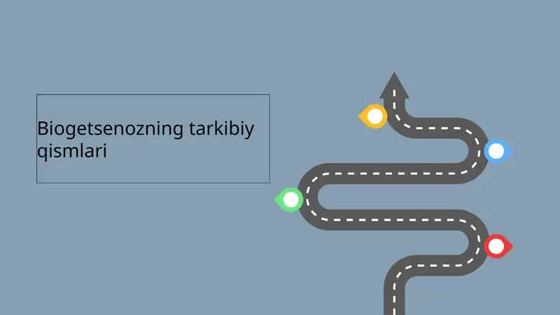 Biogetsenozning tarkibiy qismlari