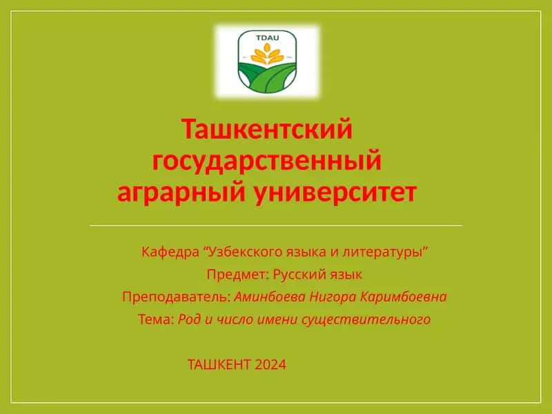 Род и число имени существительного