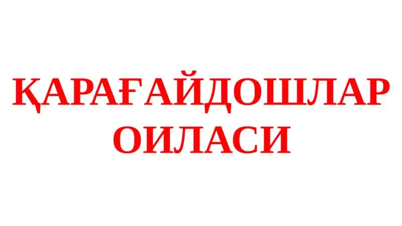 Қарағайдошлар оиласи