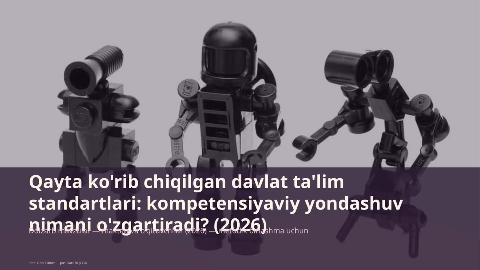 Davlat ta'lim standartlari