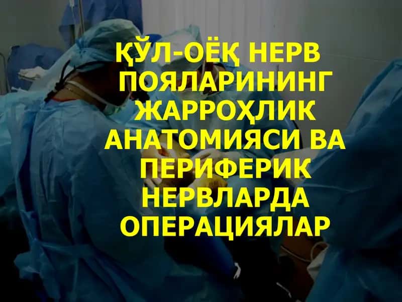 ҚЎЛ-ОЁҚ НЕРВ ПОЯЛАРИНИНГ ЖАРРОҲЛИК АНАТОМИЯСИ ВА ПЕРИФЕРИК НЕРВЛАРДА ОПЕРАЦИЯЛАР