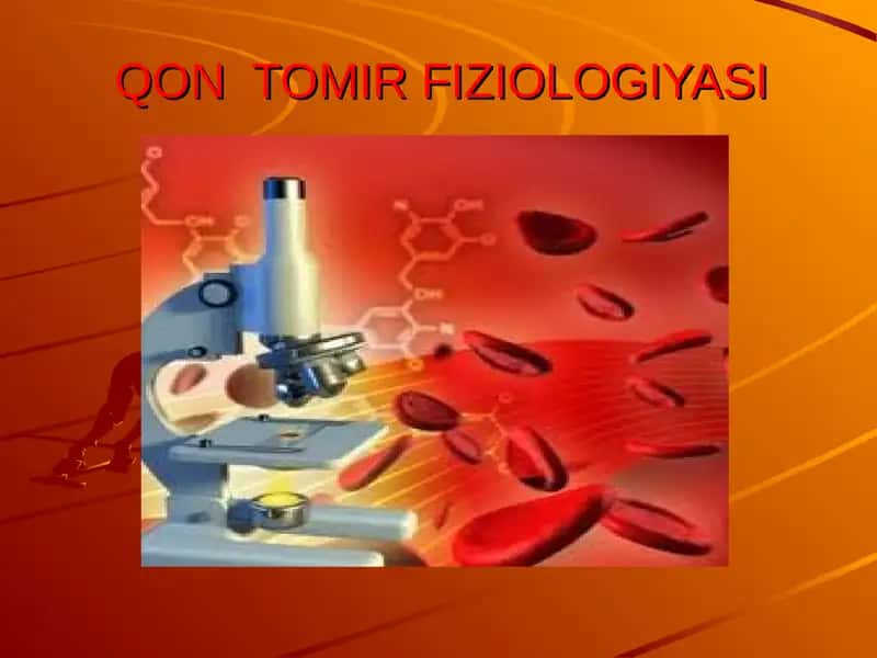 QON TOMIR FIZIOLOGIYASI