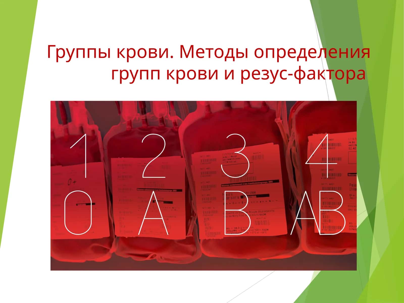 Группы крови. Методы определения групп крови и резус-фактора