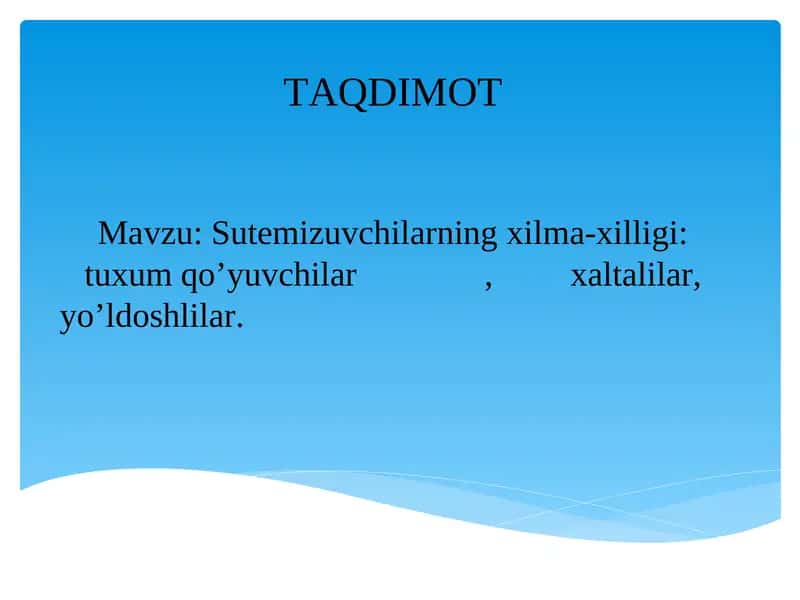Sutemizuvchilarning xilma-xilligi: tuxum qo’yuvchilar, xaltalilar, yo’ldoshlilar