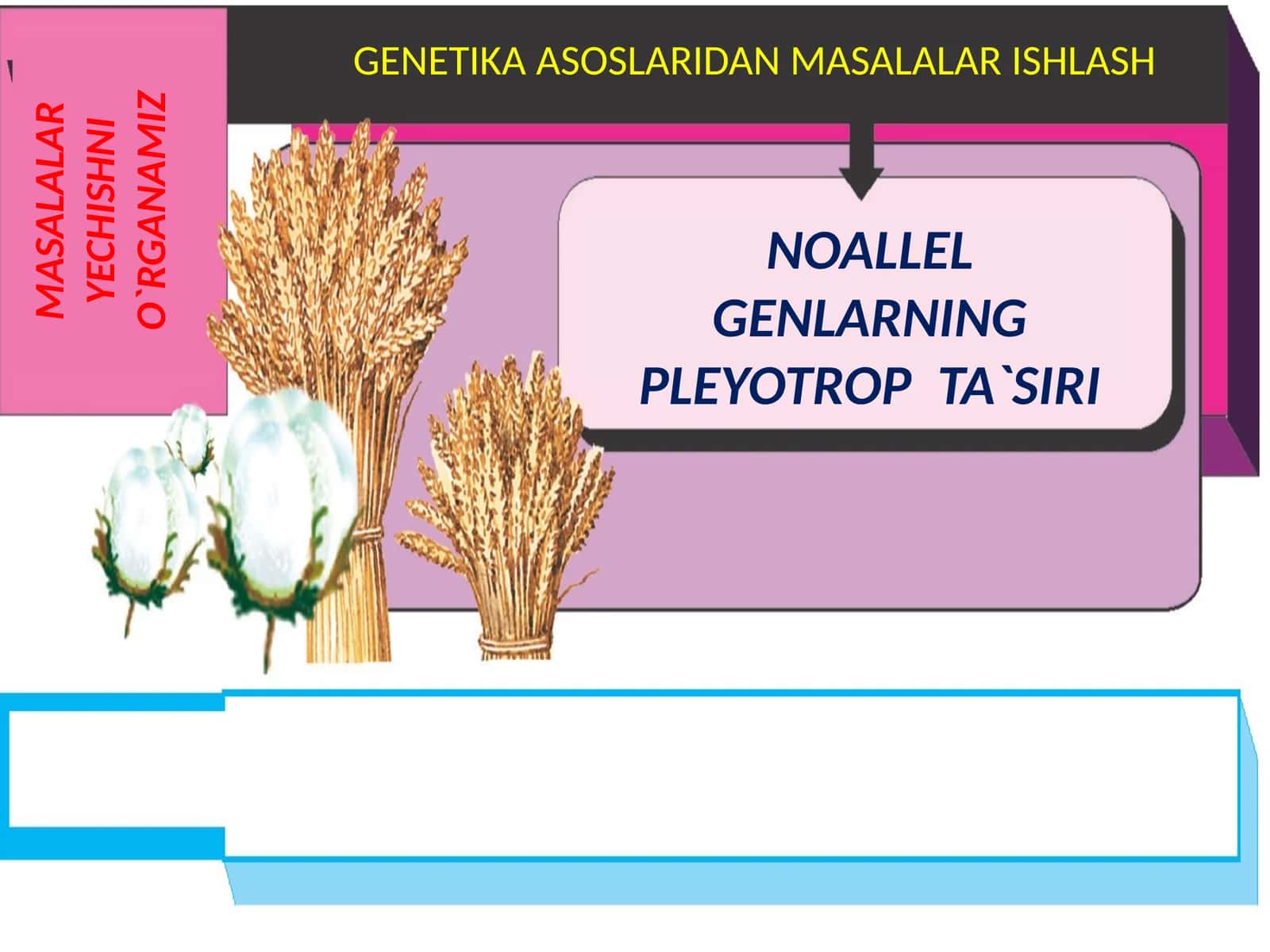 GENETIKA ASOSLARIDAN MASALALAR ISHLASH