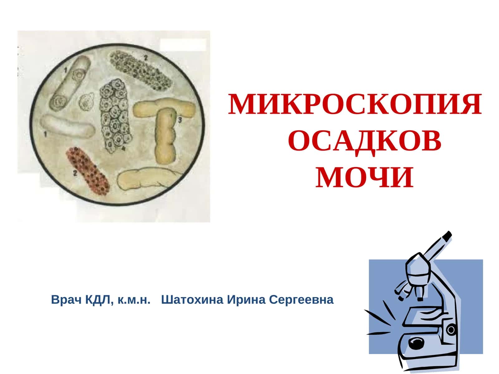 МИКРОСКОПИЯ ОСАДКОВ МОЧИ