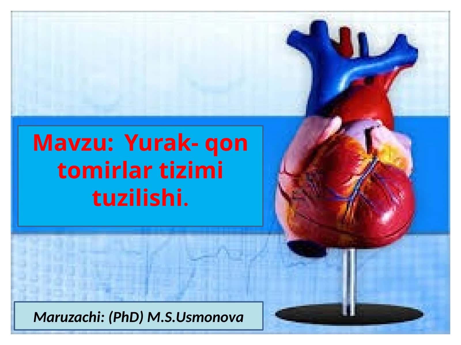 Yurak-qontomirlar tizimi