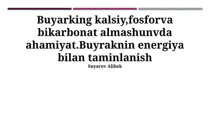 Buyrak Enerji Ta'minoti