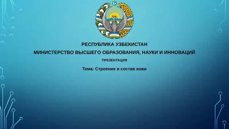 Строение и состав кожи