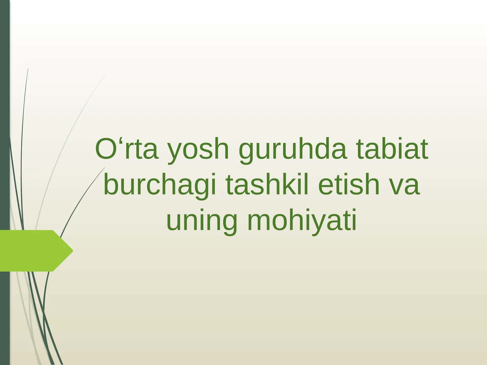Tabiat burchagi tashkil etish va uning mohiyati