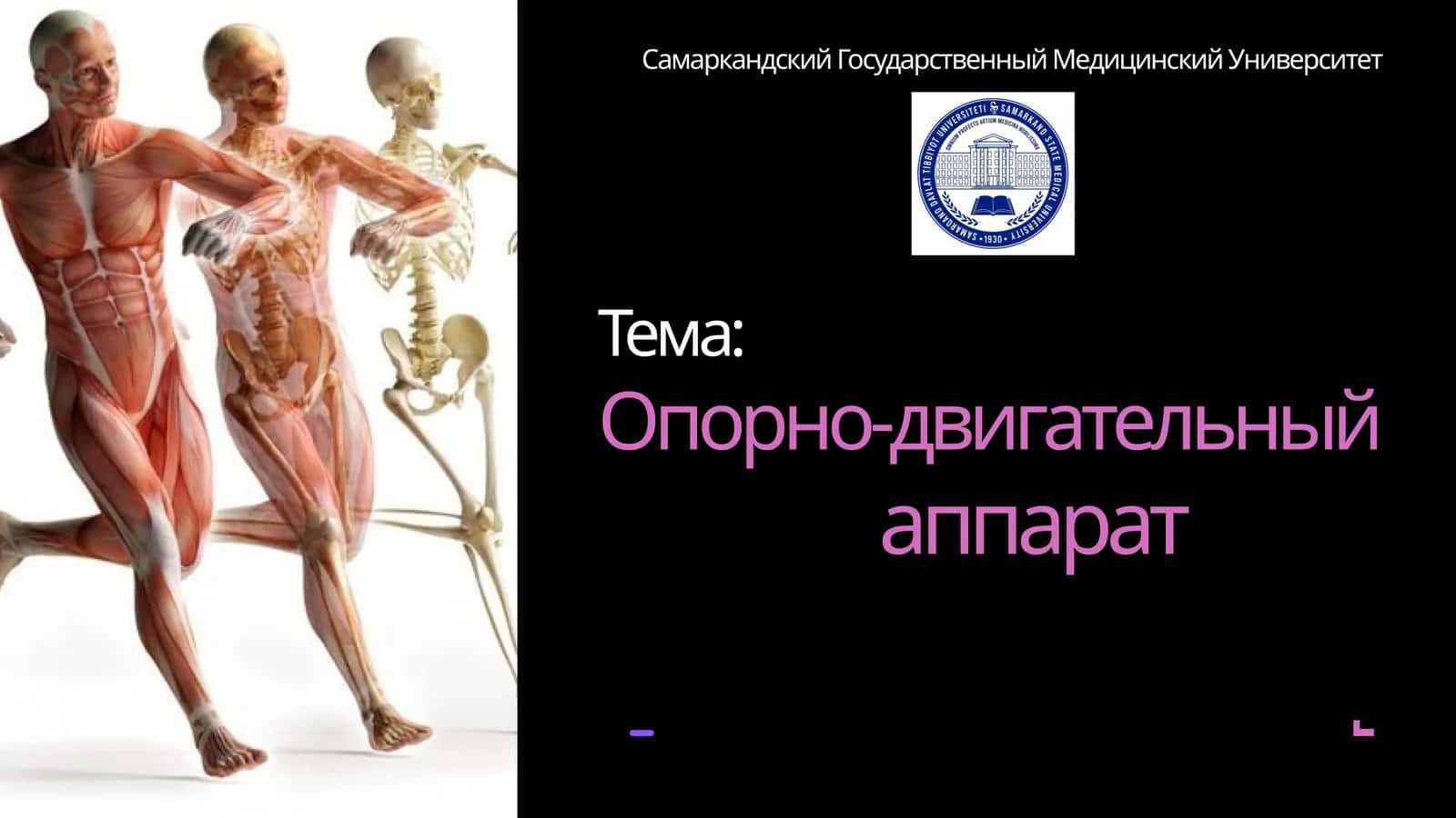 Опорно-двигательный аппарат