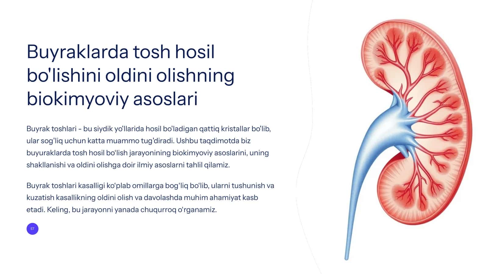 Buyraklarda tosh hosil bo'lishini oldini olishning biokimyoviy asoslari
