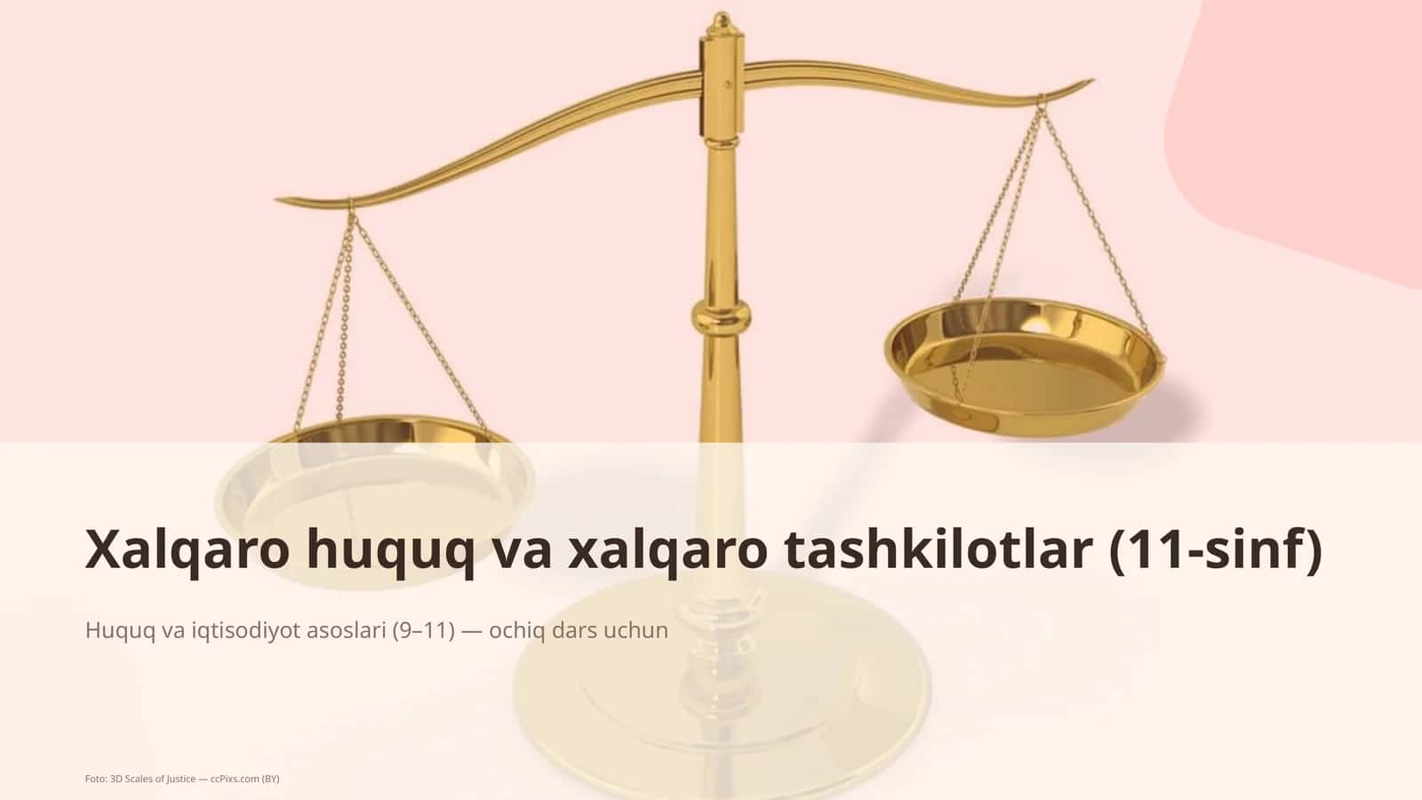 Xalqaro huquq va xalqaro tashkilotlar (11-sinf)