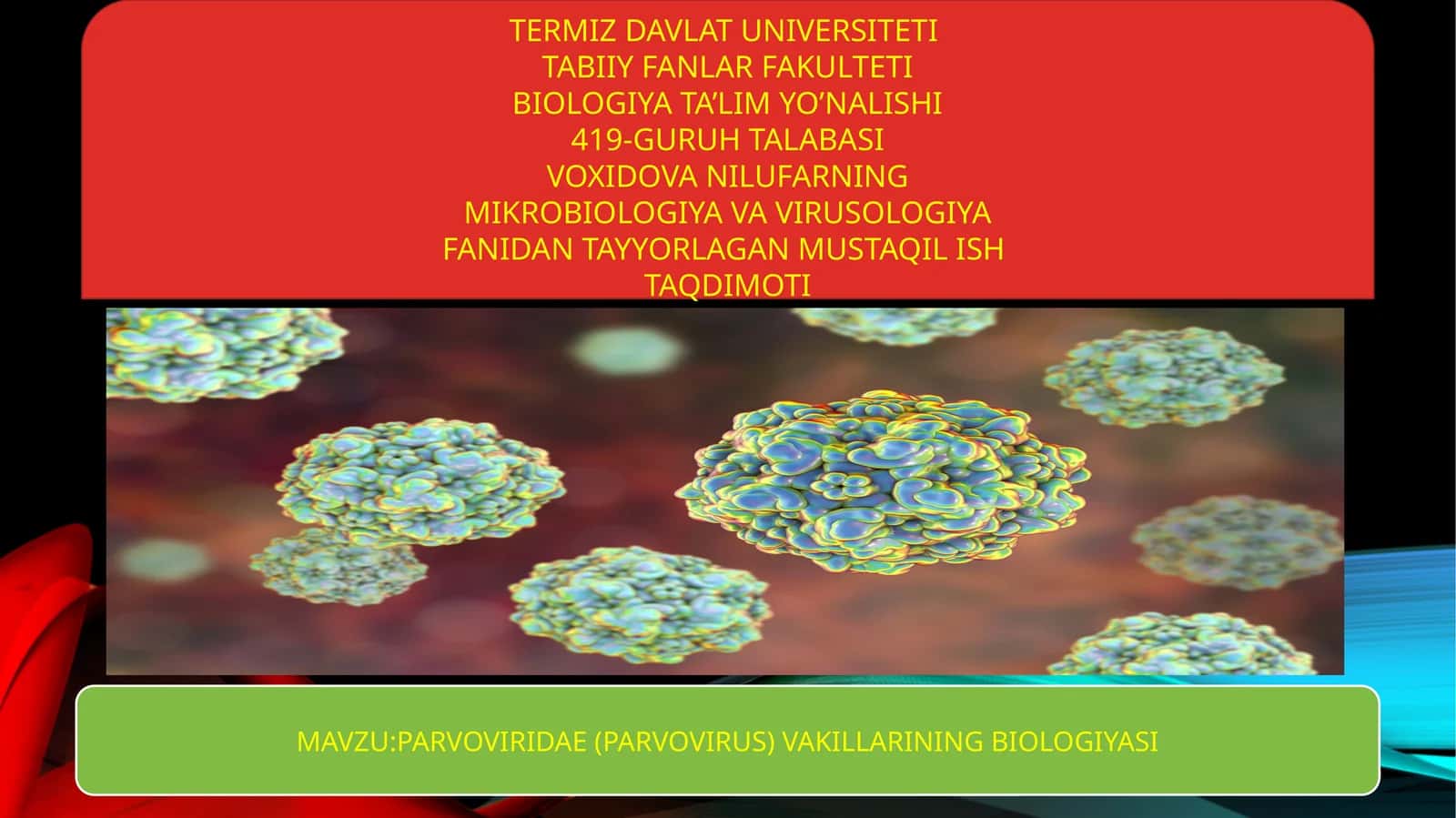 PARVOVIRIDAE (PARVOVIRUS) VAKILLARINING BIOLOGIYASI
