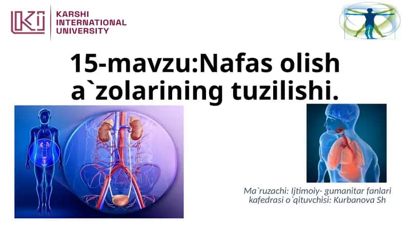 Nafas olish a`zolarining tuzilishi