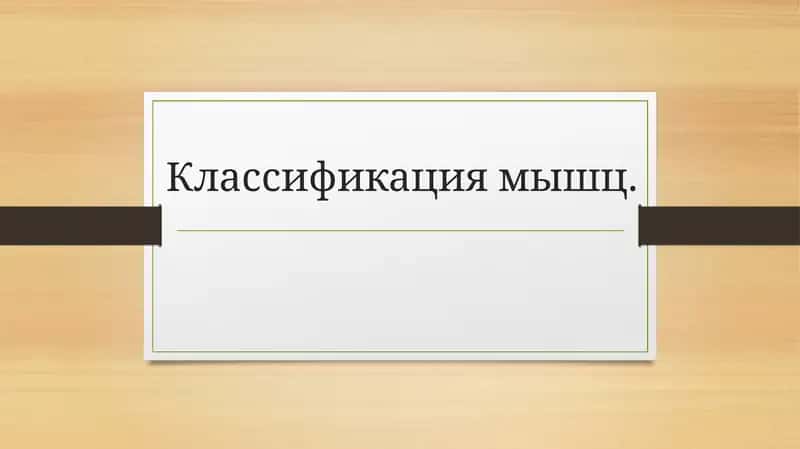 Классификация мышц