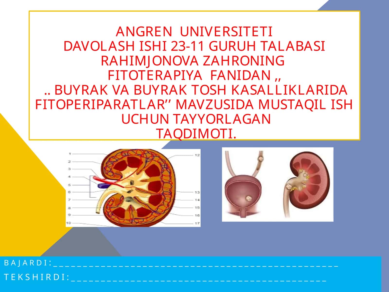 FITOTERAPIYA - BUYRAK VA BUYRAK TOSH KASALLIKLARI