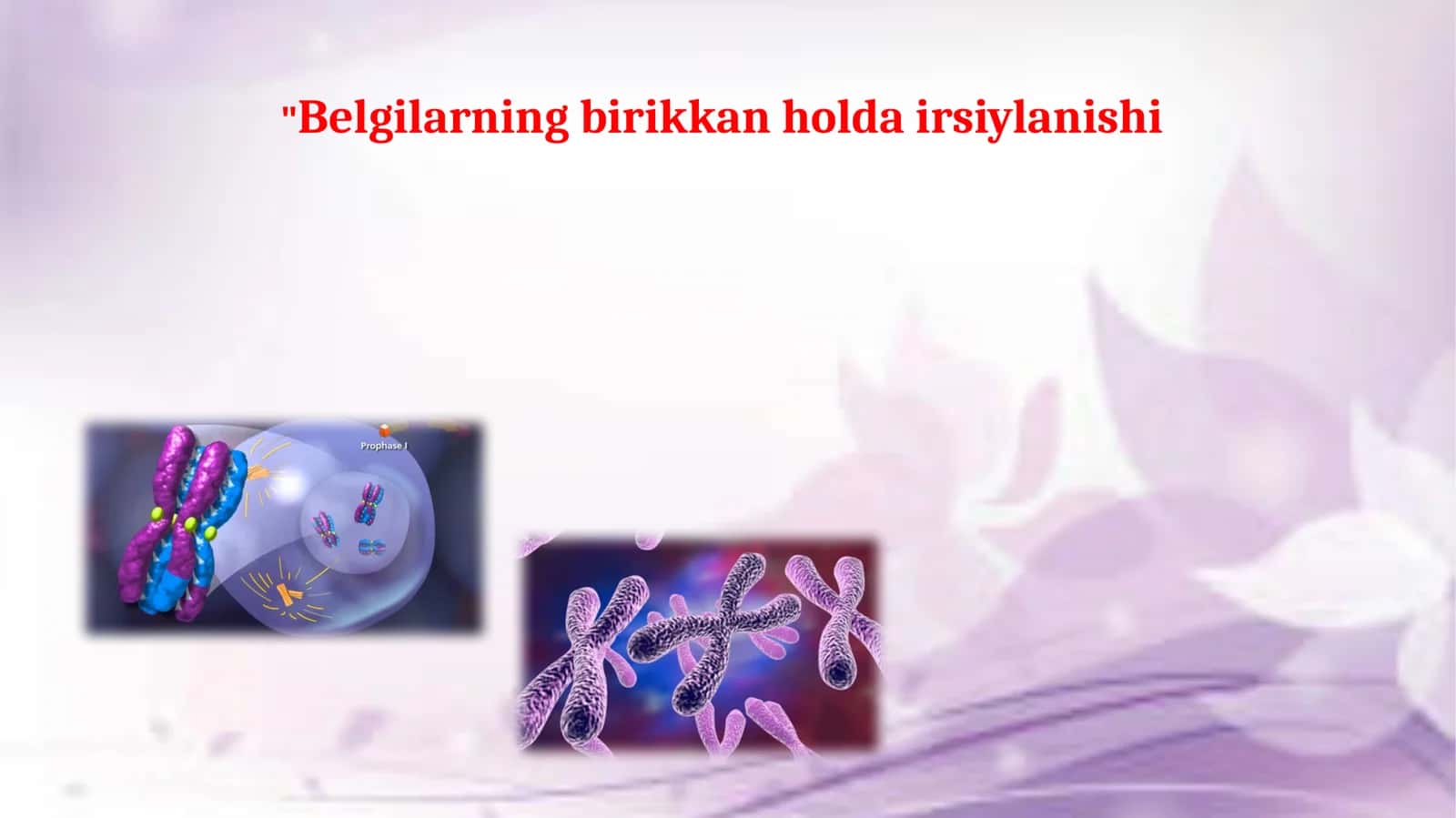 Xromosomalar va jinsning birikkan holdairsi