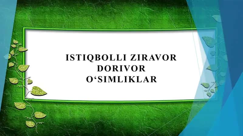 Istiqbolli ziravor dorivor oʻsimliklar