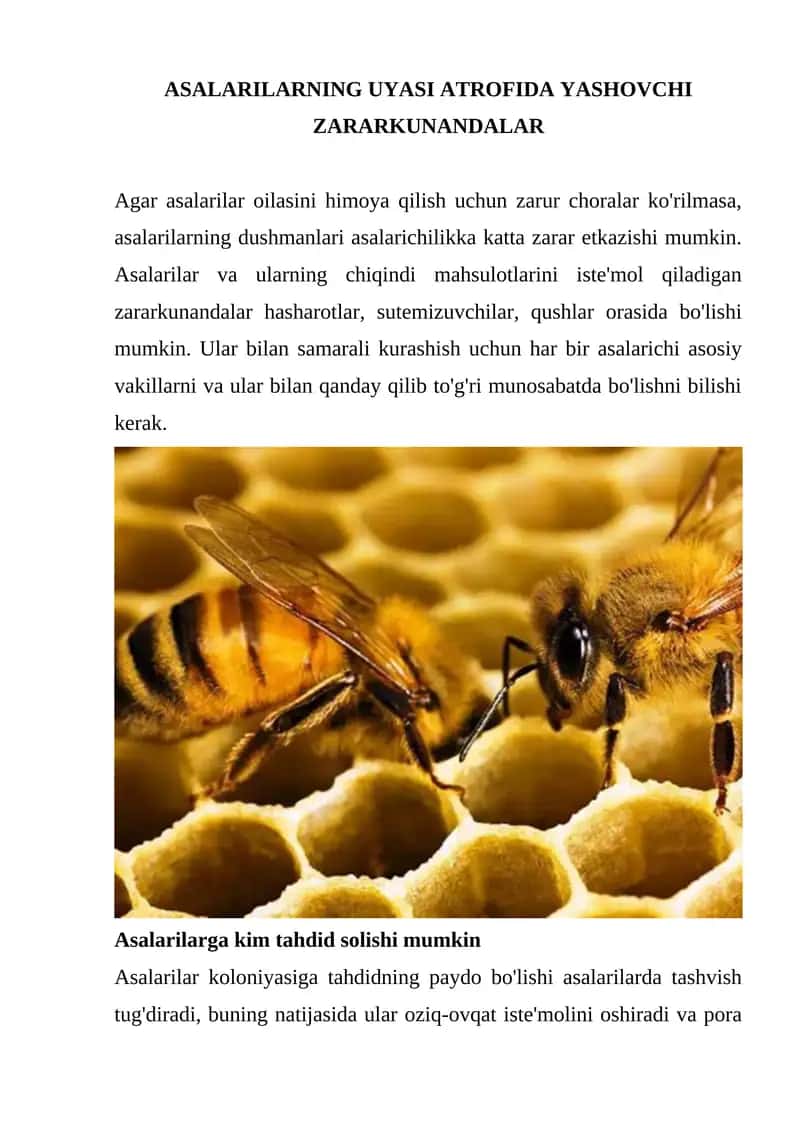 Asalarilarning Uyasi Atrofida Yashovchi Zararkunandalar