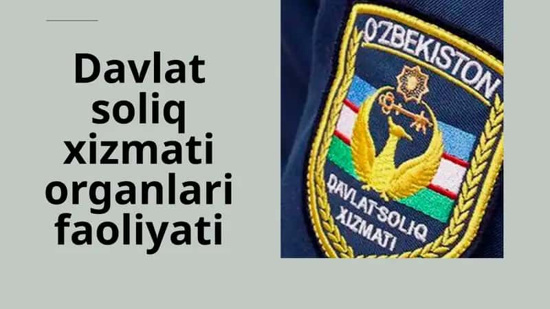 Davlat soliq xizmat iorganlari faoliyati