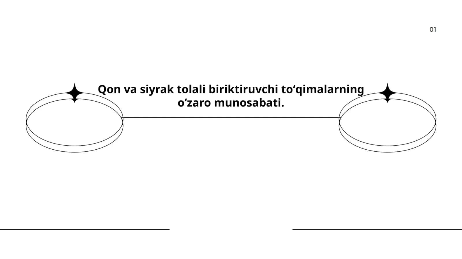 Kollagen tolalari va ularning funksiyalari