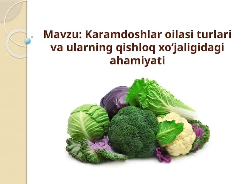 Karamdoshlar oilasi turlari va ularning qishloq xoʻjaligidagi ahamiyati