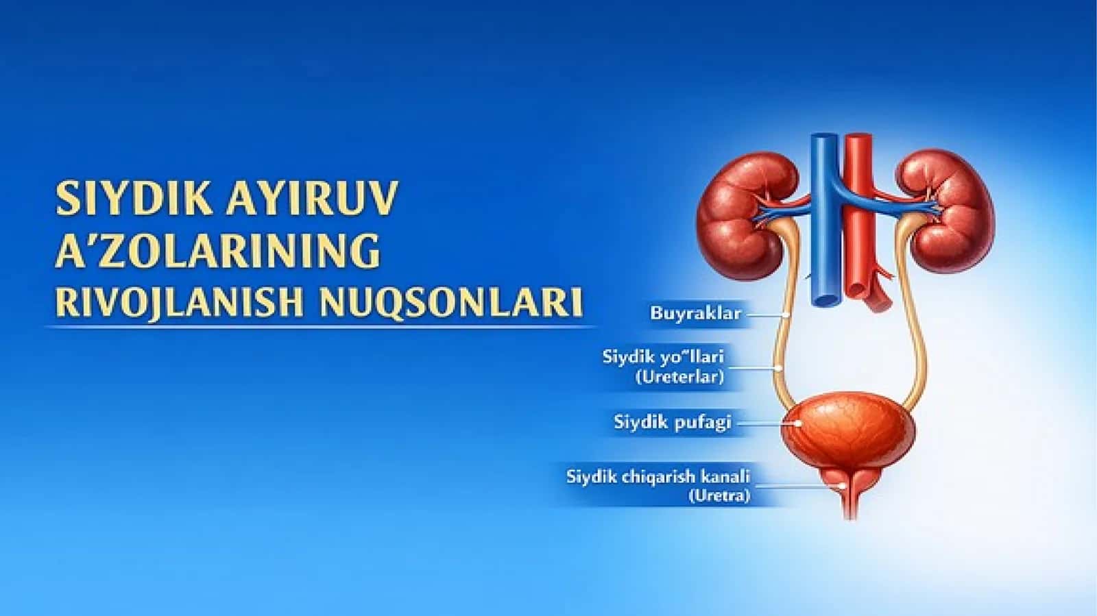 Siydik ayiruv azolarining rivojlanish nuqsonlari