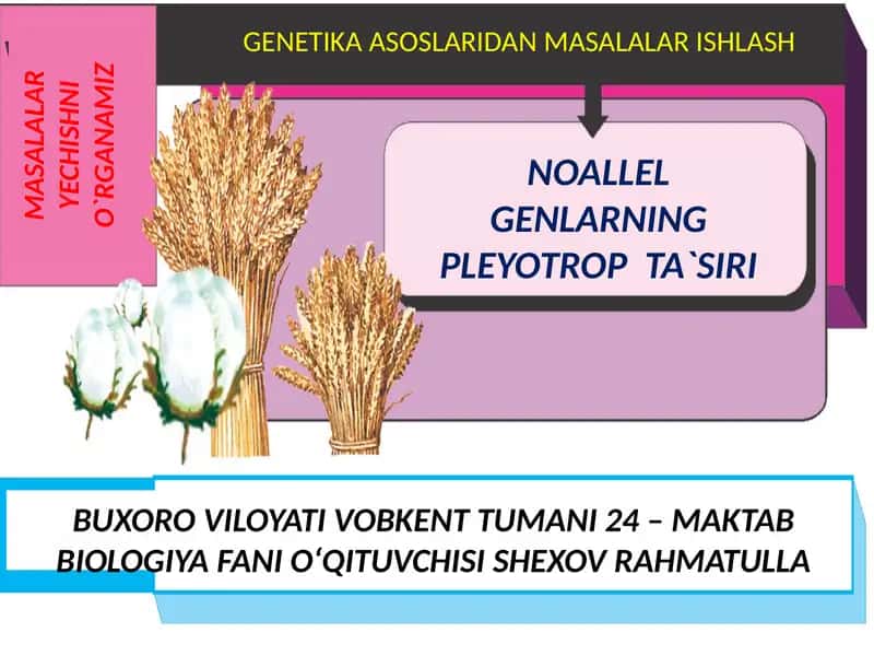 Genetika va inson salomatligi