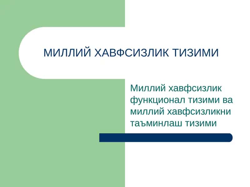 Milliy xavfsizlik tizimi
