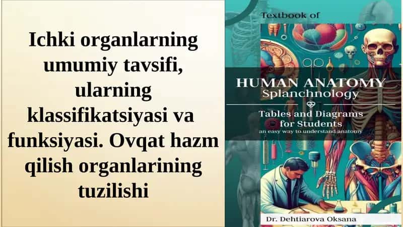 Ichki organlarning umumiy tavsifi, ularning klassifikatsiyasi va funksiyasi. Ovqat hazm qilish organlarining tuzilishi