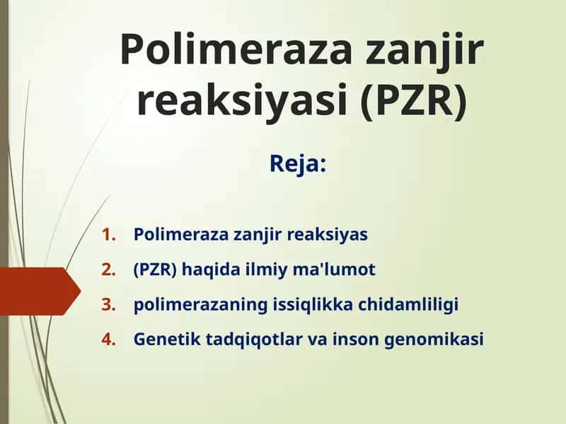 Polimerazazanjirreaksiyasi(PZR)