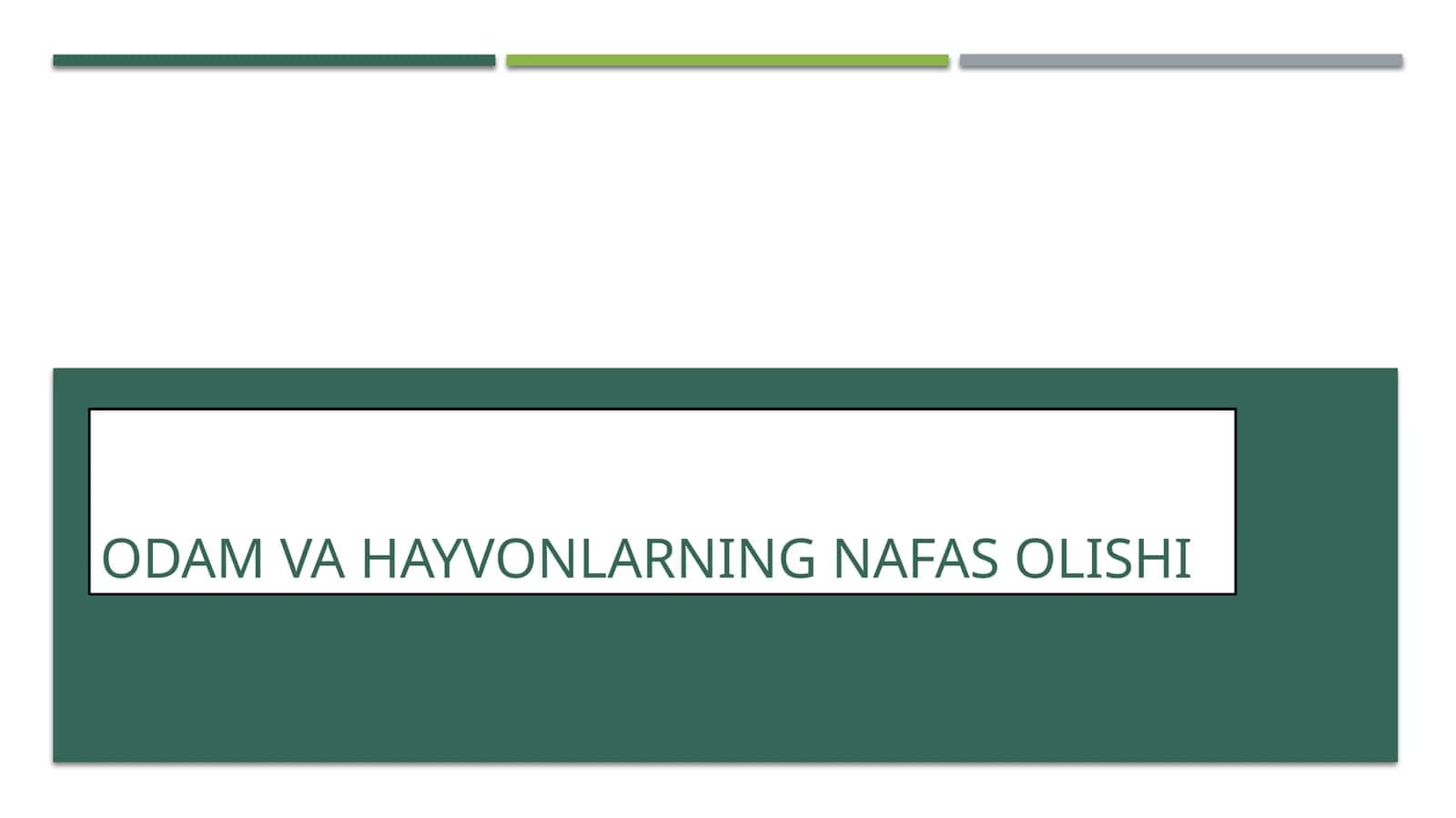 ODAM VA HAYVONLARNING NAFAS OLISHI