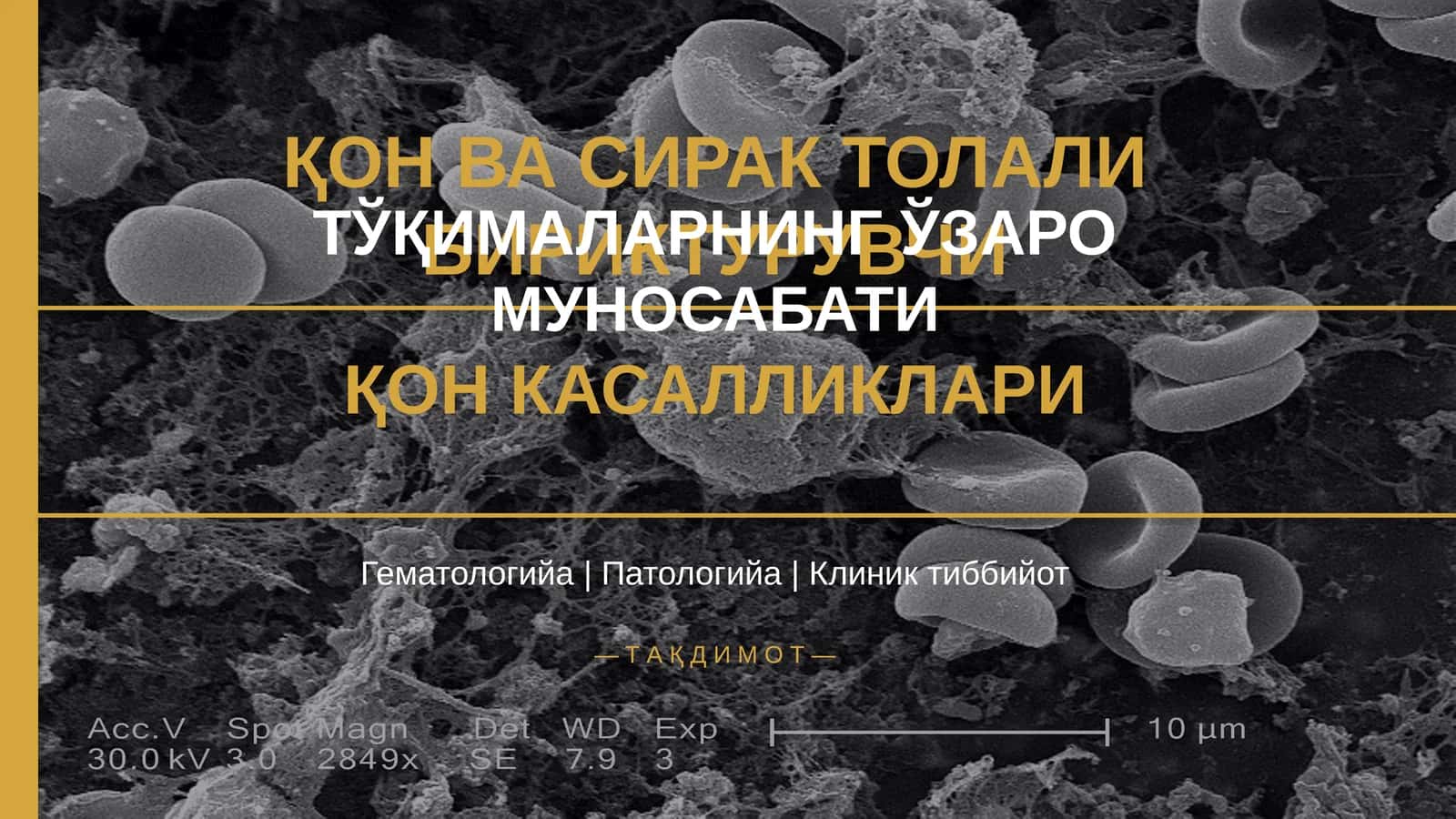 ҚОН ВА СИРАК ТОЛАЛИ БИРИКТУРУВЧИ