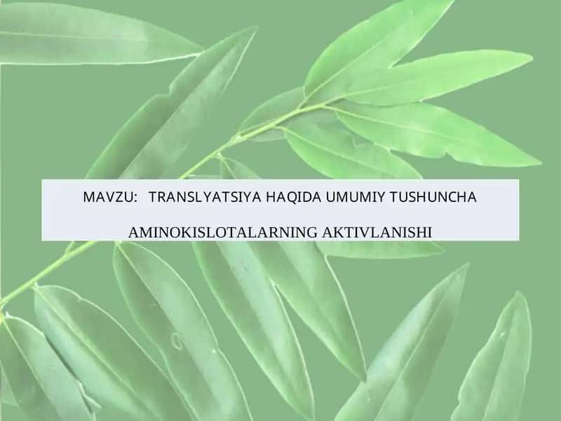 Translyatsiya Haqida Umumiy Tushuncha