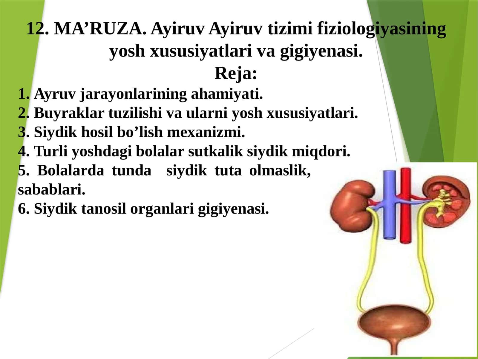 Ayiruv Ayiruv tizimi fiziologiyasining yosh xususiyatlari va gigiyenasi