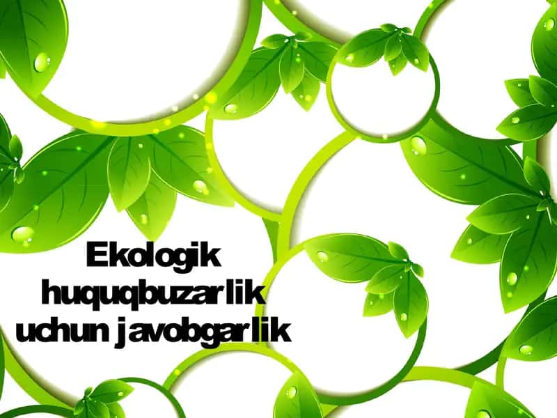 Ekologik huquqbuzarlik uchun javobgarlik