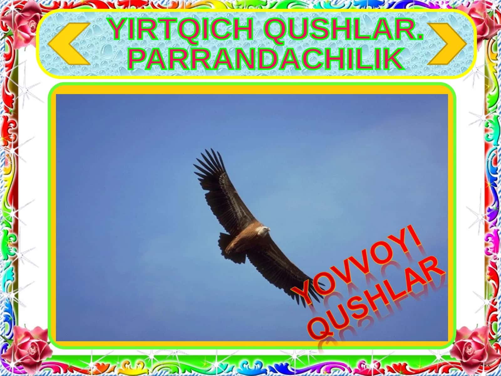 YIRTQICH QUSHLAR. PARRANDACHILIK