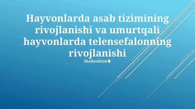Hayvonlarda asab tizimining rivojlanishi va umurtqali hayvonlarda telensefalonning rivojlanishi
