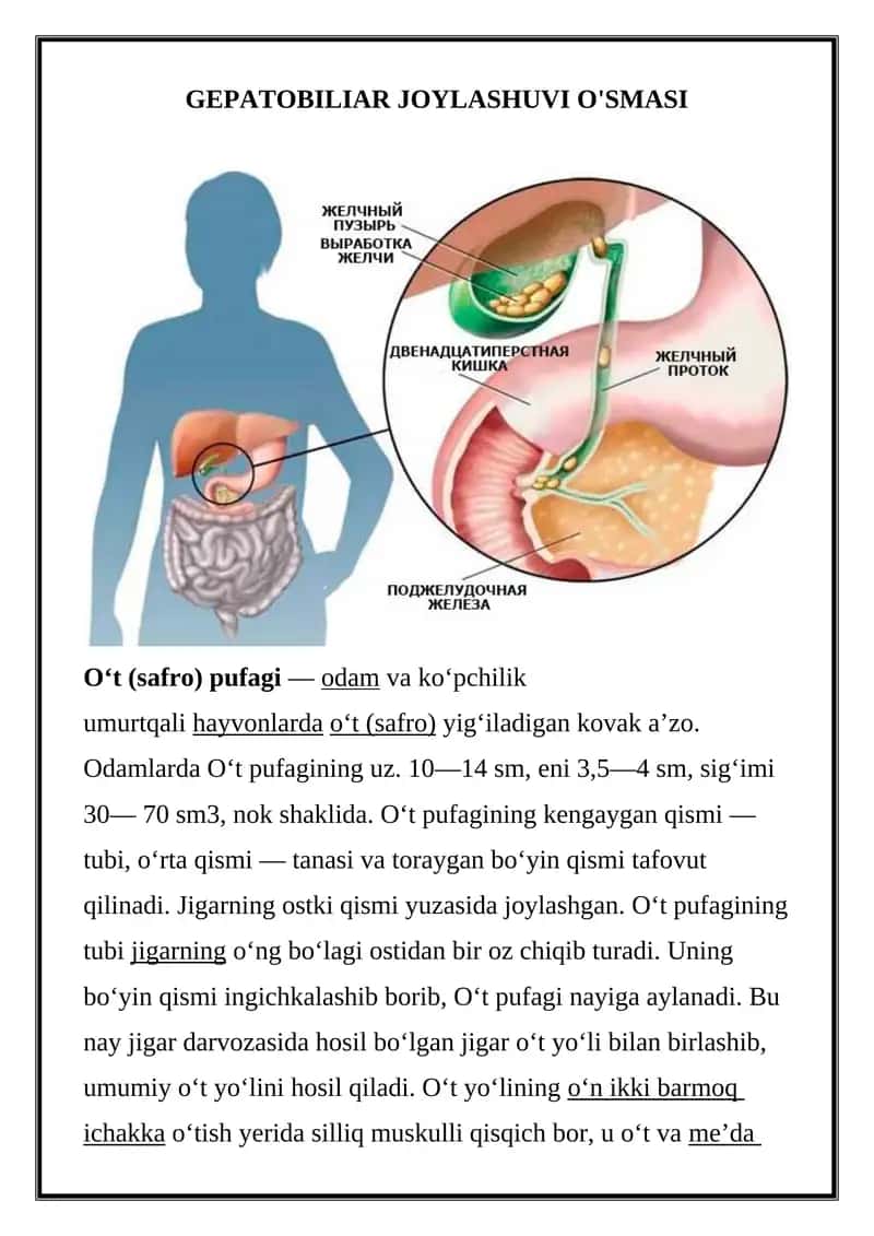 GEPATOBILIAR JOYLASHUVI O'SMASI