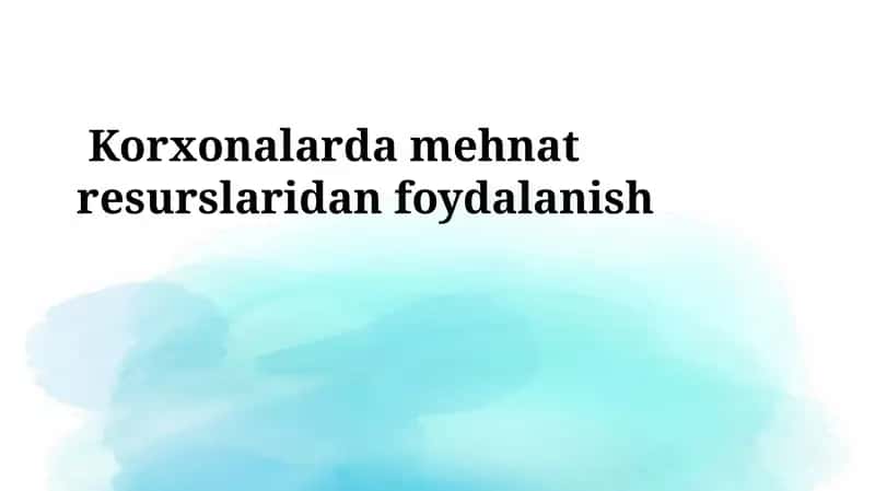 Mehnat Resurslari Bilan Ta'minlash