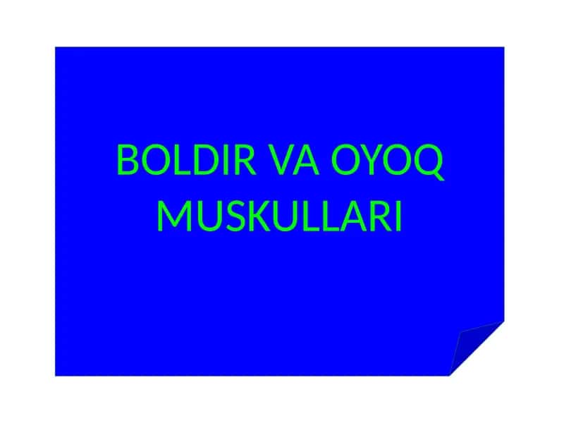 BOLDIR VA OYOQ MUSKULLARI